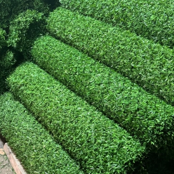 Yüksek Güvenlikli Tel Çit Uygulamaları